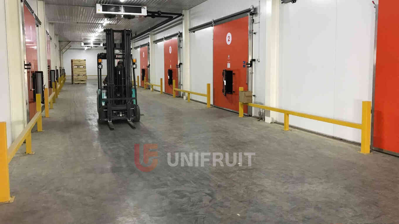 Что нужно учесть при планировании фруктохранилища?