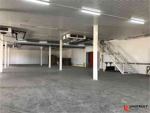 Что нужно учесть при планировании фруктохранилища?