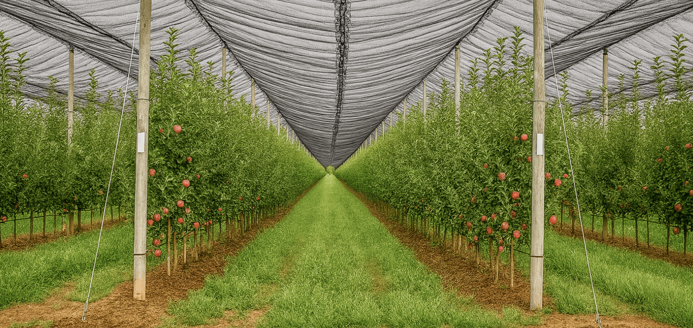 Сложность и многоуровневость садовых защитных систем