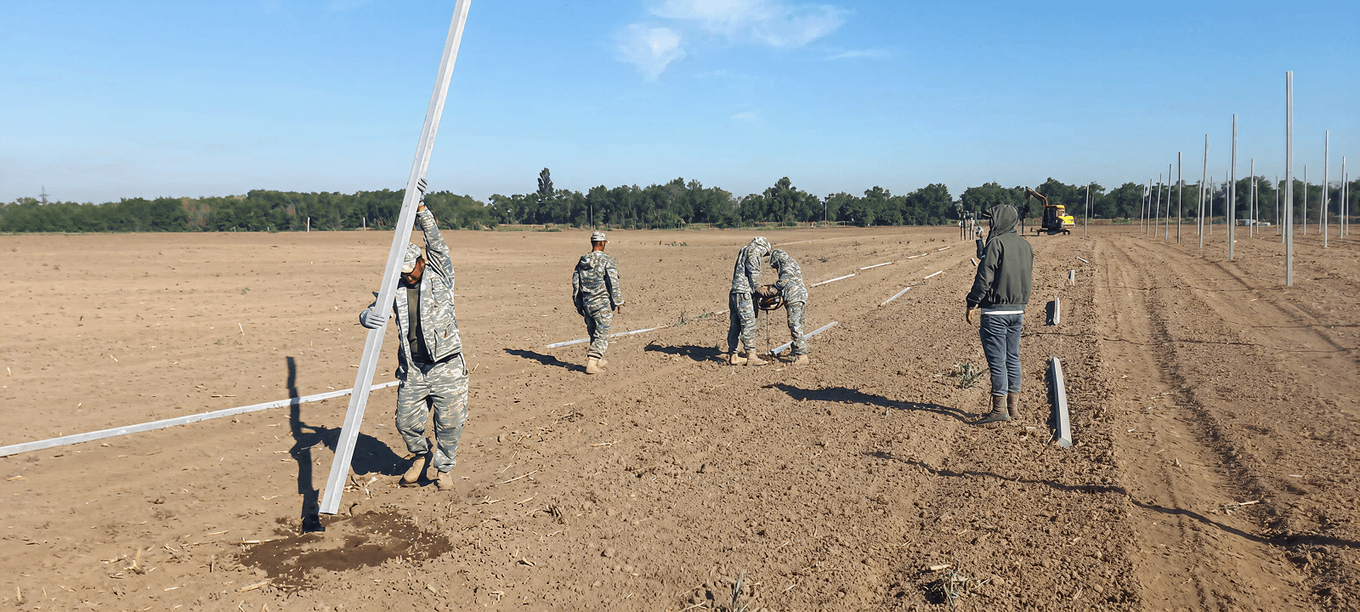 Установка шпалер для садов и виноградников Установка шпалер для садов и виноградников