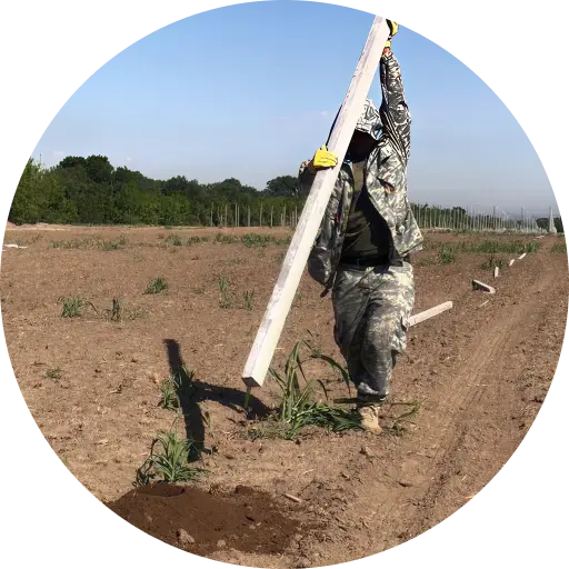 Установка шпалер для садов и виноградников