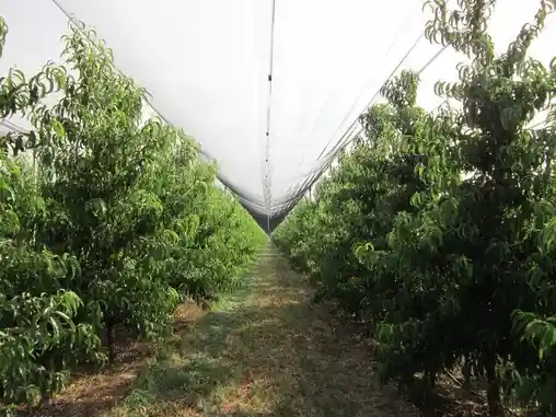 Противоградовые системы