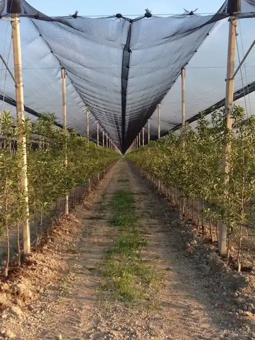 Противоградовые системы