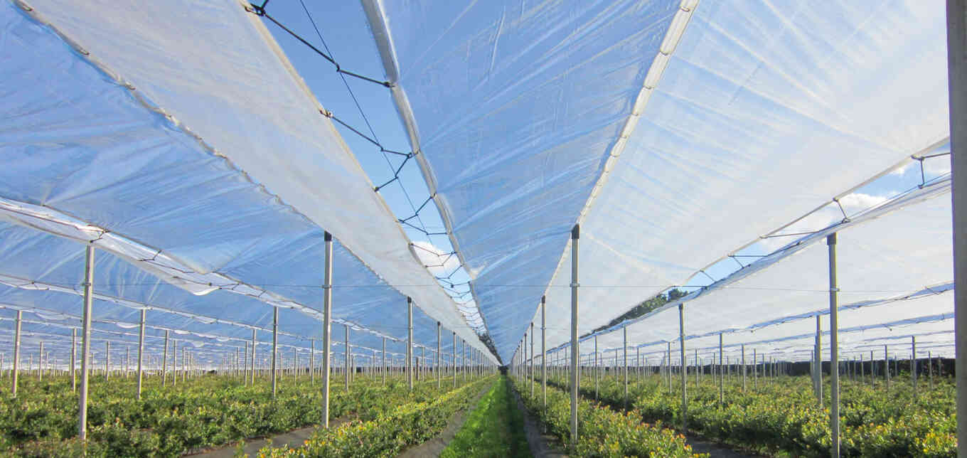 Противодождевые сетки