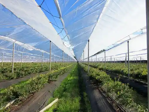 Противодождевые сетки