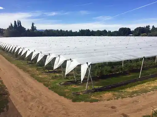 Противодождевые сетки