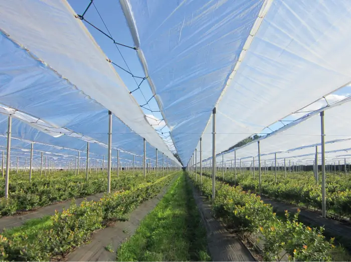 Противодождевые сетки