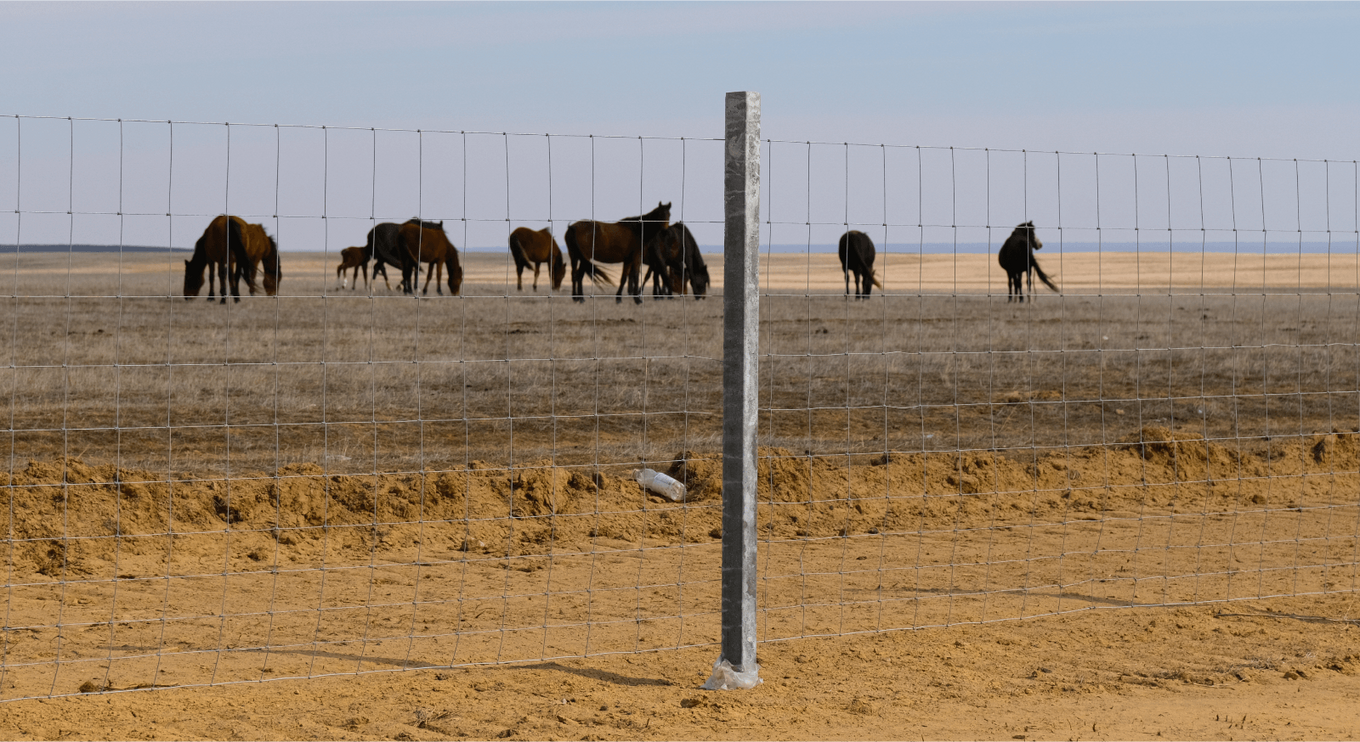 Ограждения для садов, виноградников и сельхозугодий