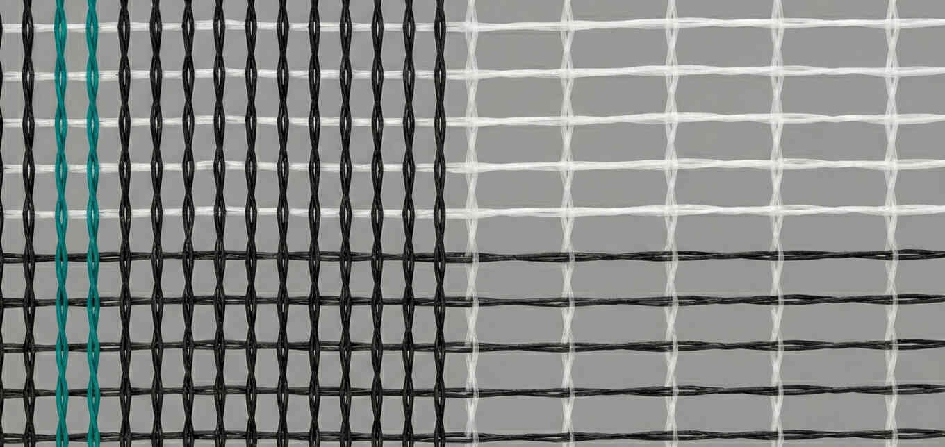 Грандилен Зебра