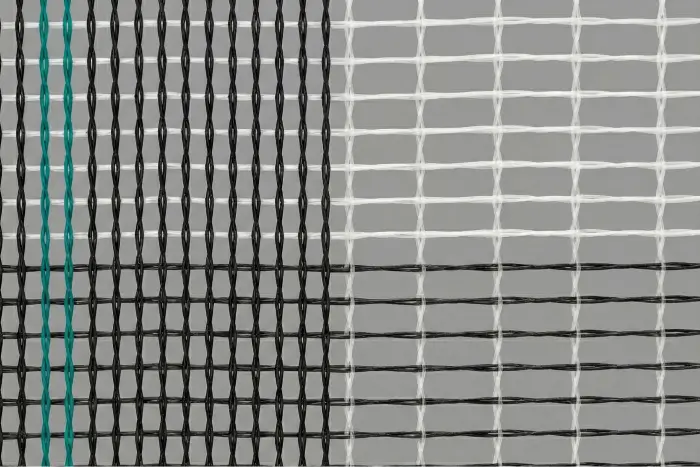 Грандилен Зебра