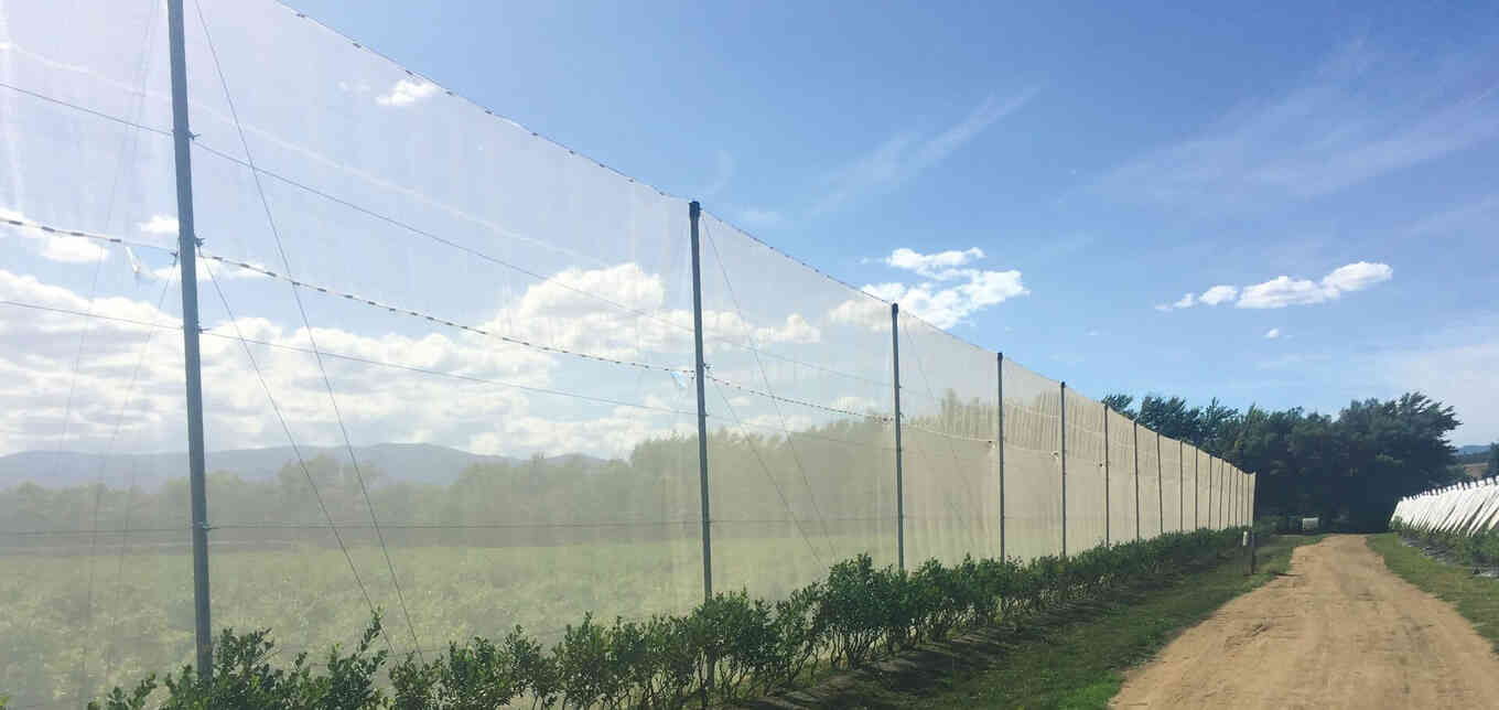 Затемняющие и ветрозащитные системы