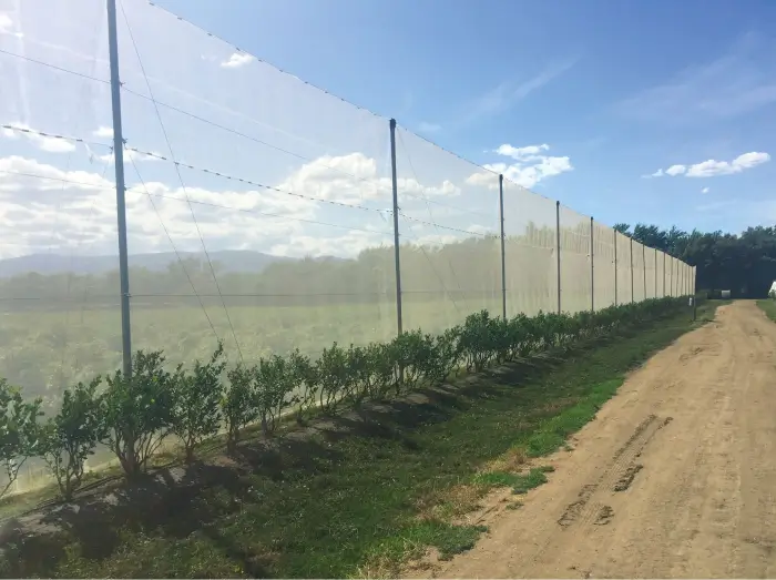 Затемняющие и ветрозащитные системы